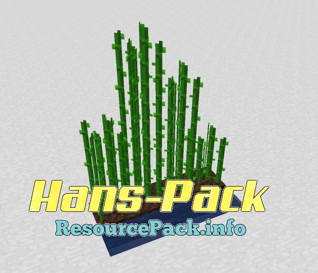 Hans-Pack 1.9.4