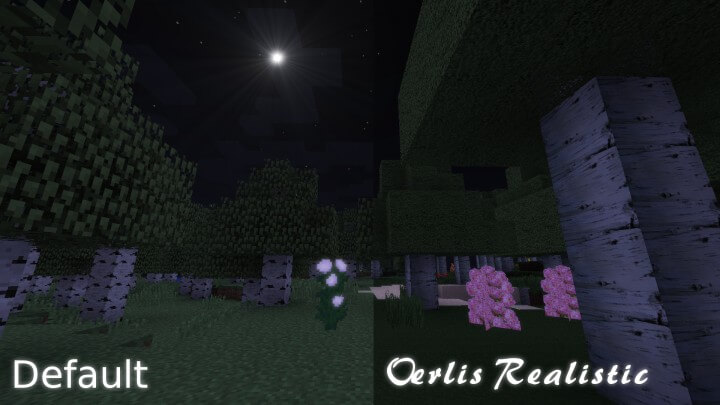 Oerlis Realistic Resource Pack 1.7.10