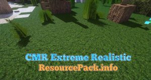 CMR Extreme Realistic 1.10.2