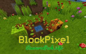 BlockPixel 1.9.4