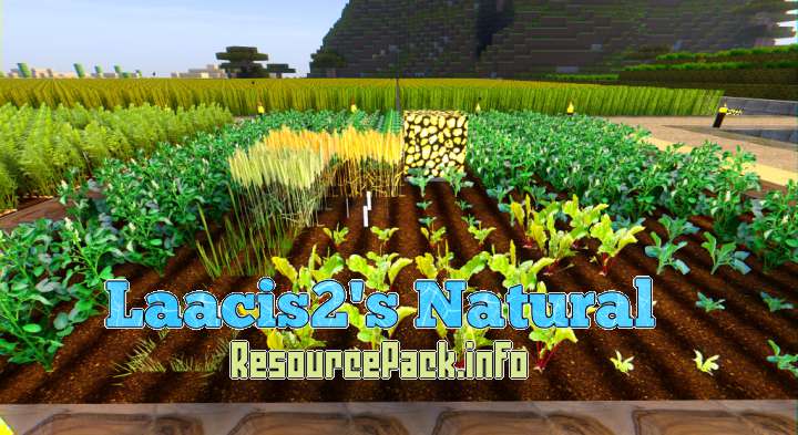 Laacis2's Natural 1.13.2