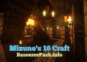 Mizuno's 16 Craft 1.10.2