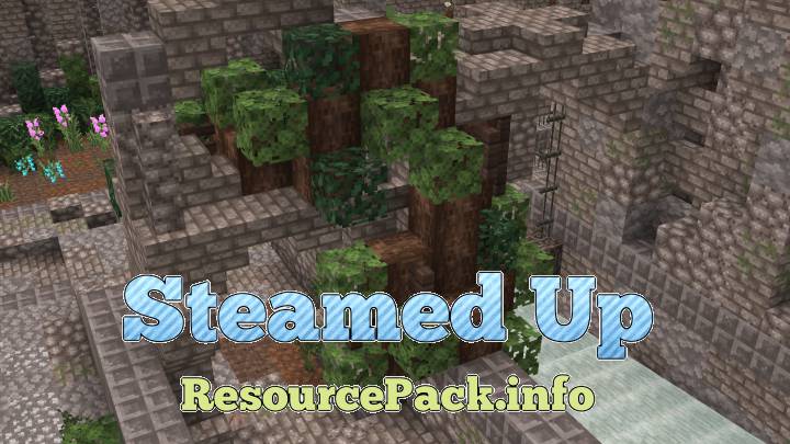 Steamed Up 1.9.4