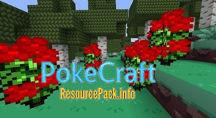 PokeCraft 1.19