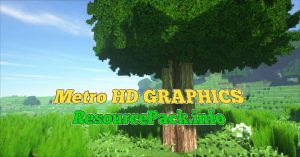 Metro HD GRAPHICS 1.20.2