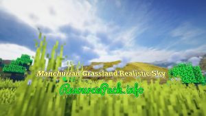 Manchurian Grassland Realistic Sky 1.19.3