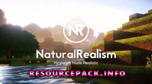 Natural Realsim 1.20.2
