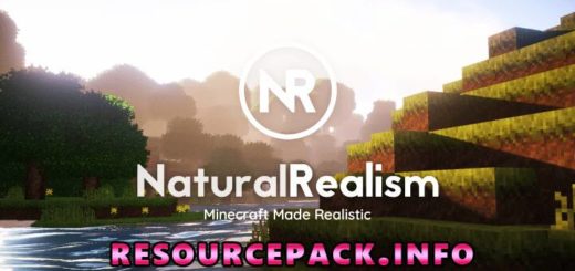 Natural Realsim 1.20.5