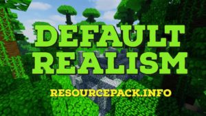 Default Realism 1.21