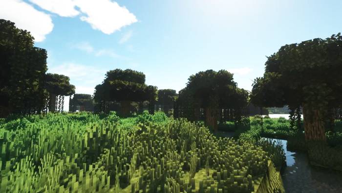 Foliage-Renewed 1.15.2