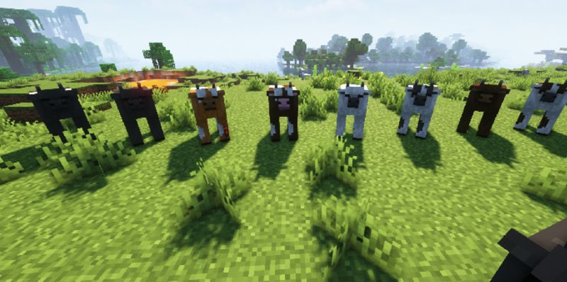 Wilder Animals Resource Pack