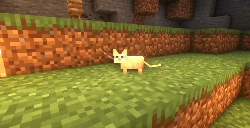 Cuter Cats 1.16.5