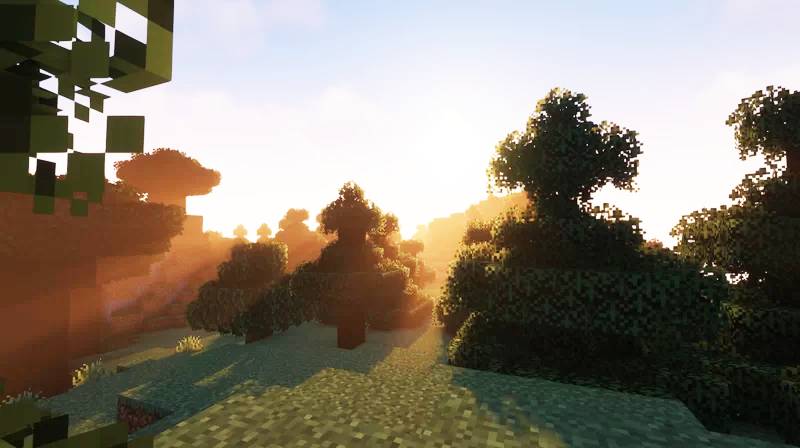 Better Bushy Leaves Resource Pack