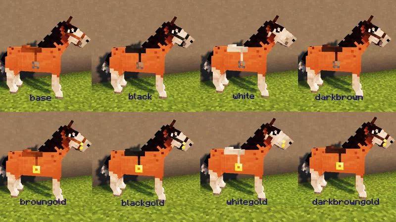 Better Horses Animations