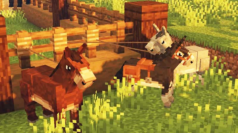 Better Horses Resource Pack