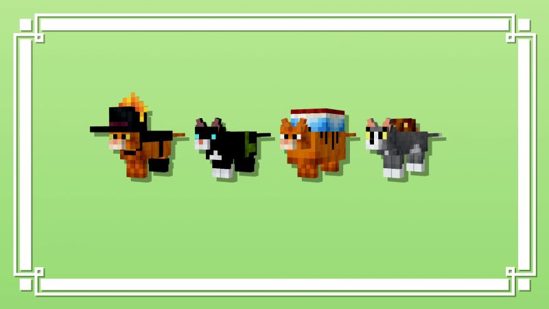 Meow Society Texture Pack
